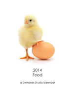 2014 Calendar Food